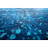 Bionda_0019_Layer-22