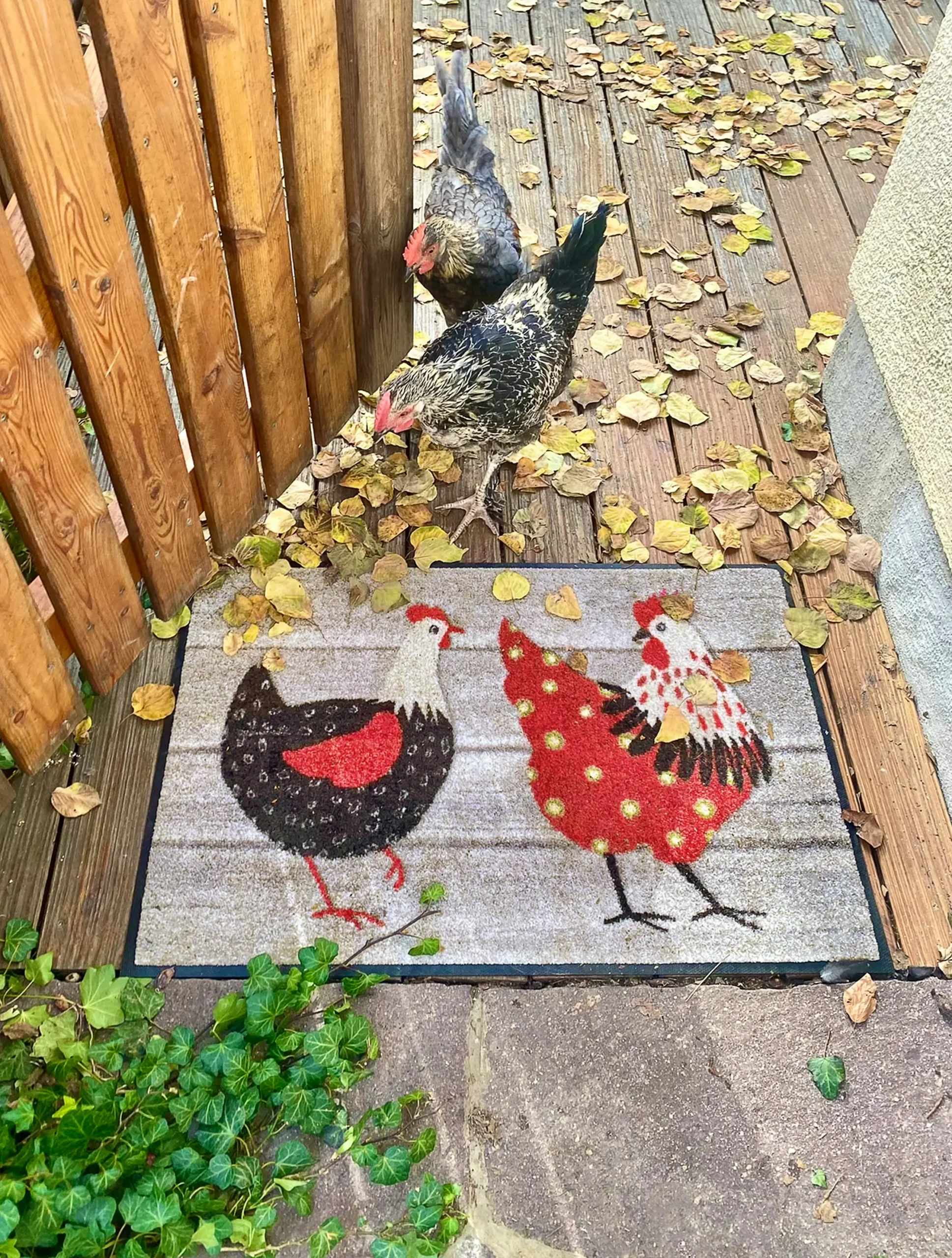 Durvju paklājiņš Chicken Farm - Image 6