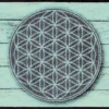 Durvju paklājiņš Pattern of Life - Thumbnail Image 1