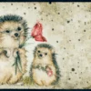 Durvju paklājiņš Spike - Thumbnail Image 1
