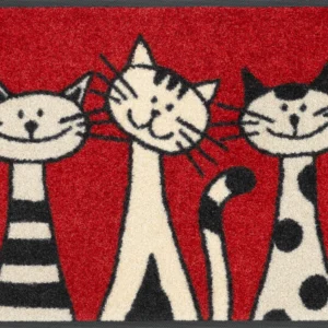 Durvju paklājiņš Three Cats
